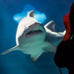 Greater Cleveland Aquarium