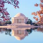 Explore Washington DC!