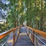 Sequoia National Park