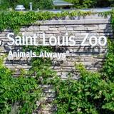 Saint Louis Zoo