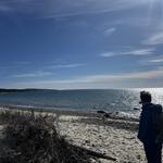 Cedar Tree Neck Sanctuary