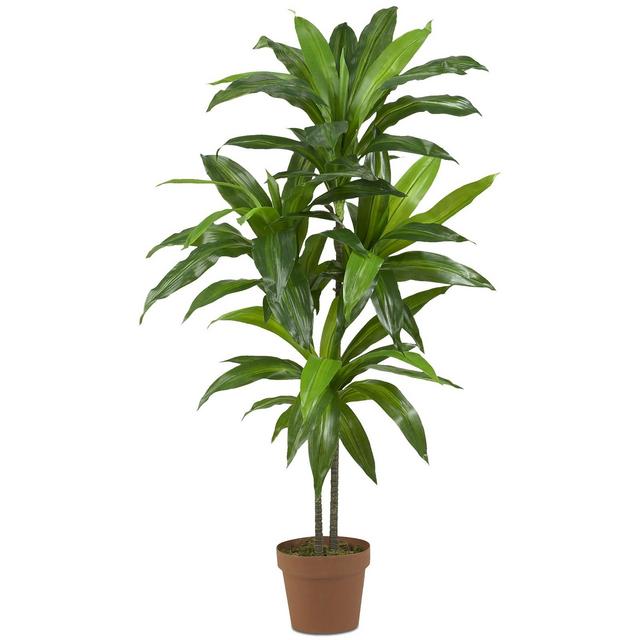 Nearly Natural 43" Dracaena Real Touch Plant