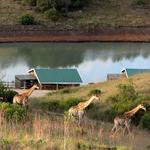 Lake Eland Game Reserve