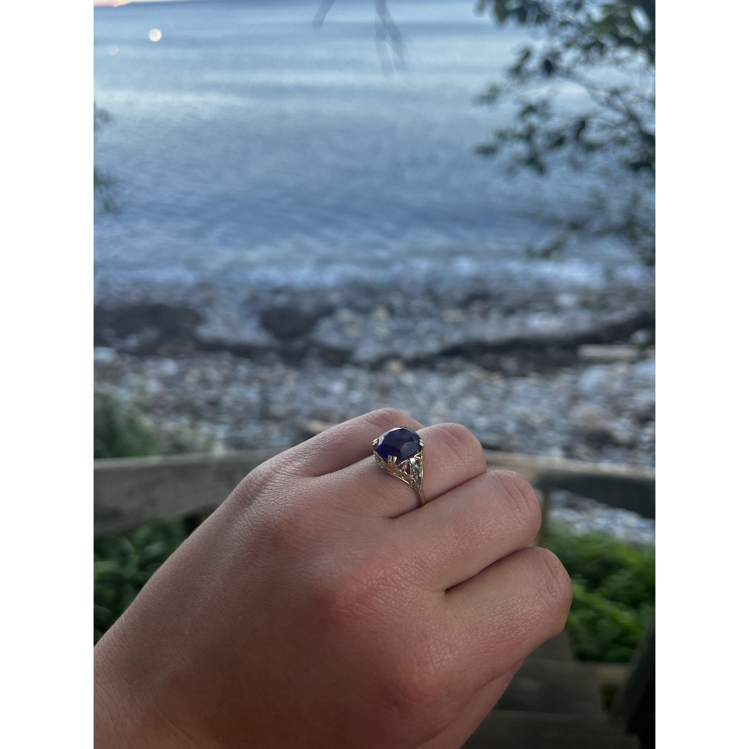 Where Sam proposed (Camden, Maine 2023)