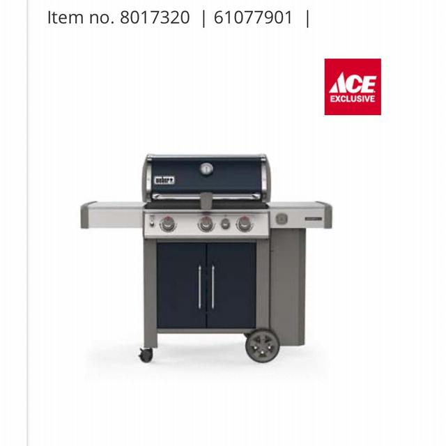 Weber Gas Grill in Indigo