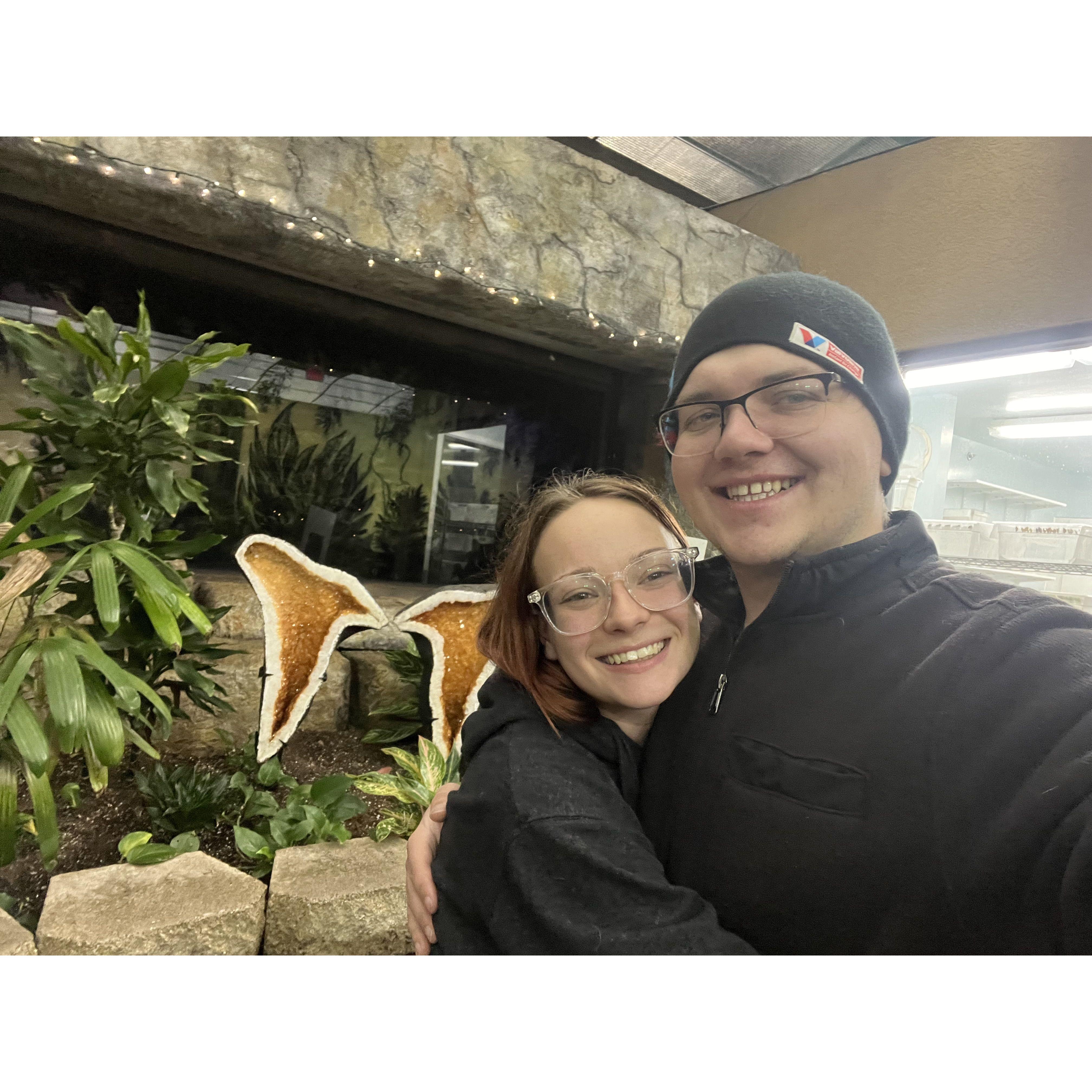 Butterfly Museum Branson