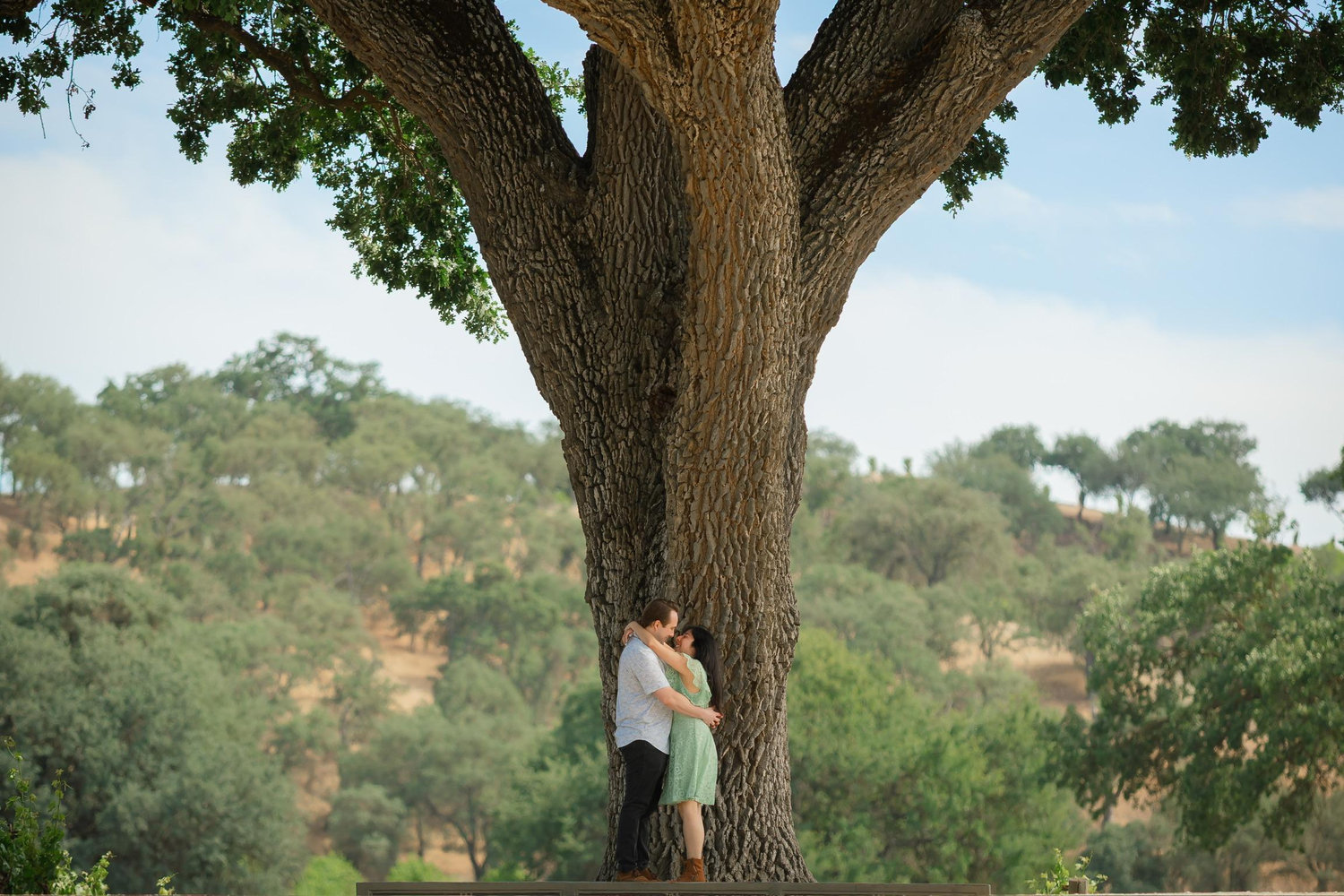The Wedding Website of Tammy Sique and Patrick Fuesterer