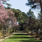 Norfolk Botanical Garden