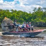 Swamp Boat Tours