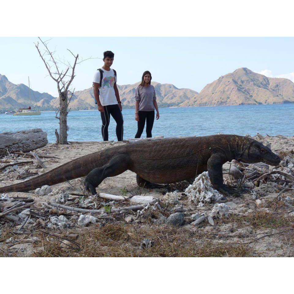 Walking with dragons. Komodo Island, Indonesia, 2015