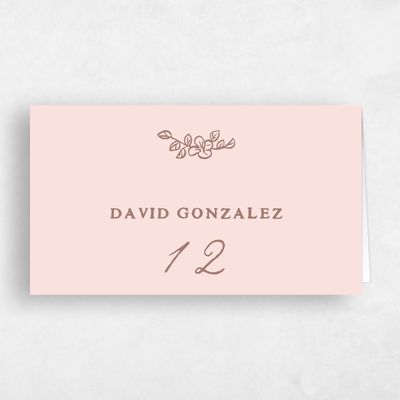 Pink Simple Wedding Place Card - Leda