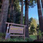 Redwood Park