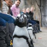 Lincoln Park Zoo