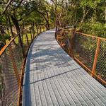 Phil Hardberger Park