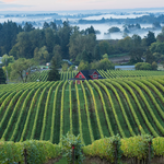 Weinprobe in einem der vielen Weingüter im Willamette Valley