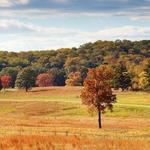 Explore Valley Forge