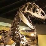 Alf Museum