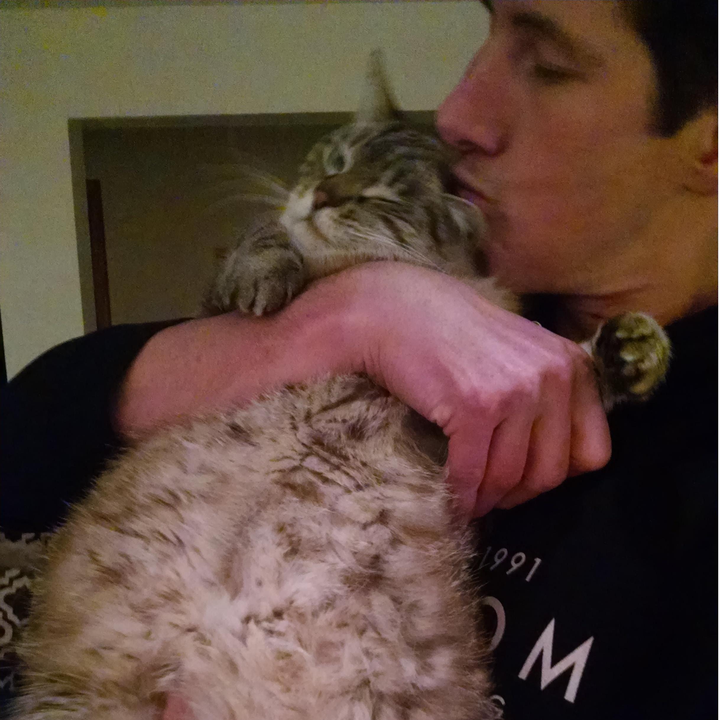 Had to include Kitty love