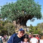 Disney's Animal Kingdom Theme Park