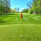 Local Golf Courses