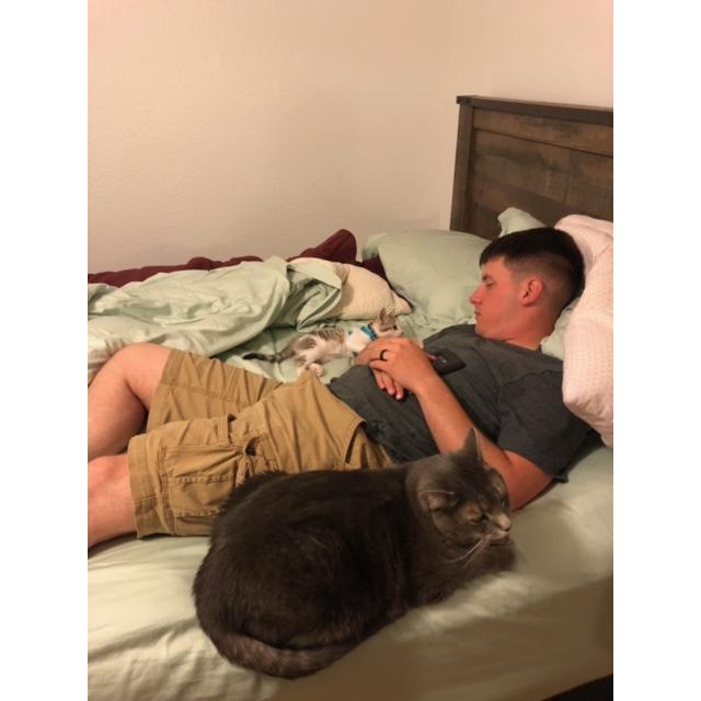 Our fur-babies, Bjorn and Astrid. They are definitely a daddy's boy and a daddy's girl.