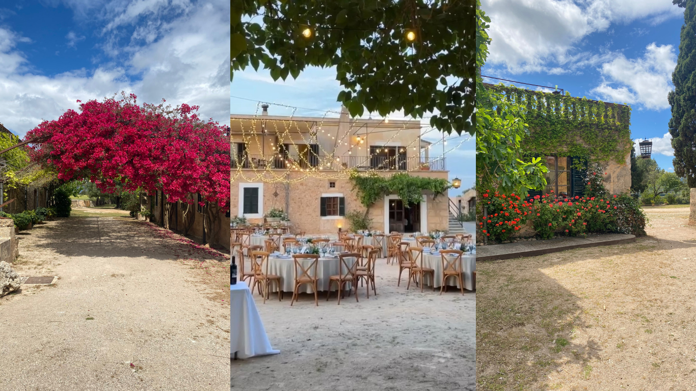 The Wedding Website of Emma Leighton and Harry Millidge