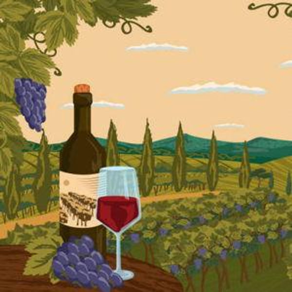 Wine Tour in Provence