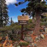 Mills Peak Mountain Biking