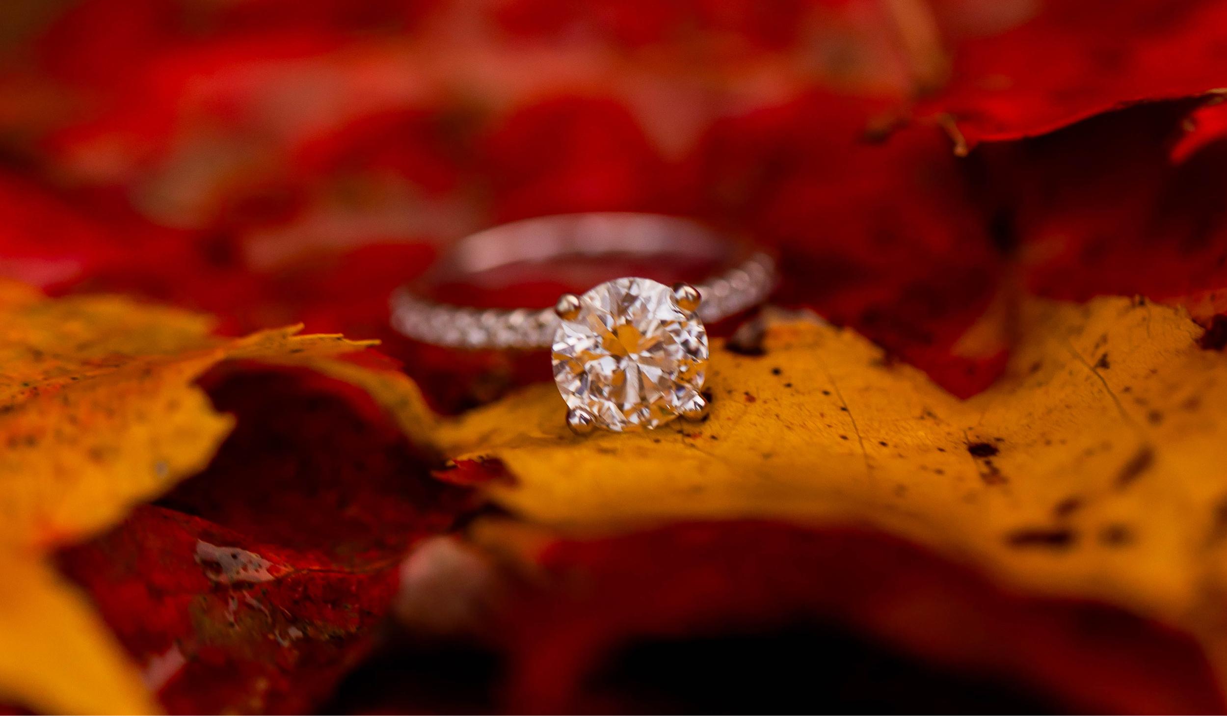 Hero Slideshow Image 3