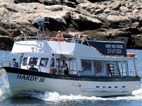 Hardy Boat Cruises