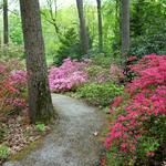 Jenkins Arboretum & Gardens