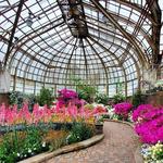 Lincoln Park Conservatory