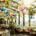 Juniper - Greenville