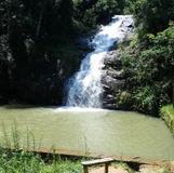 Passa Quatro National Forest