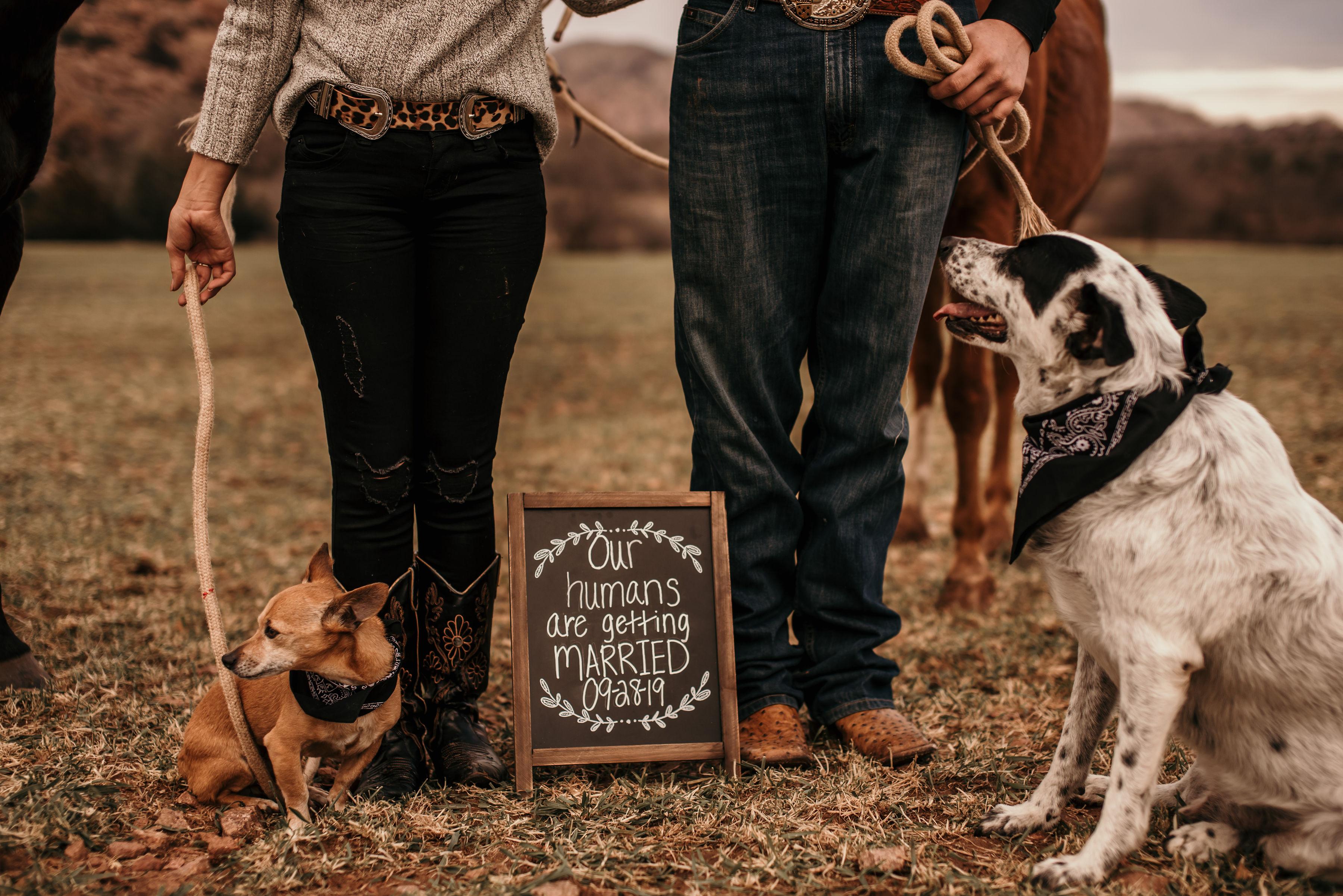The Wedding Website of Tori Wheat and Chance Green