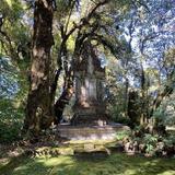 Yod Doi Nature Trail/Ang Ka nature trail