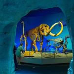 Milwaukee Public Museum