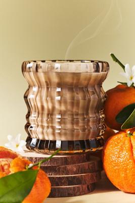 Auden Lueur Woody Willow Boxed Glass Candle