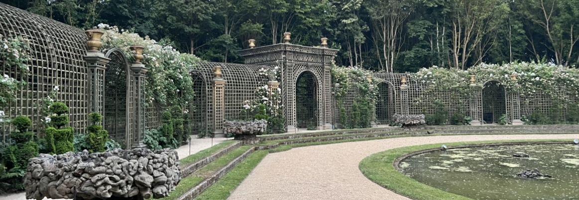 The Wedding Website of Abigail Ida and Connor Fitz