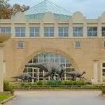 Fernbank Museum
