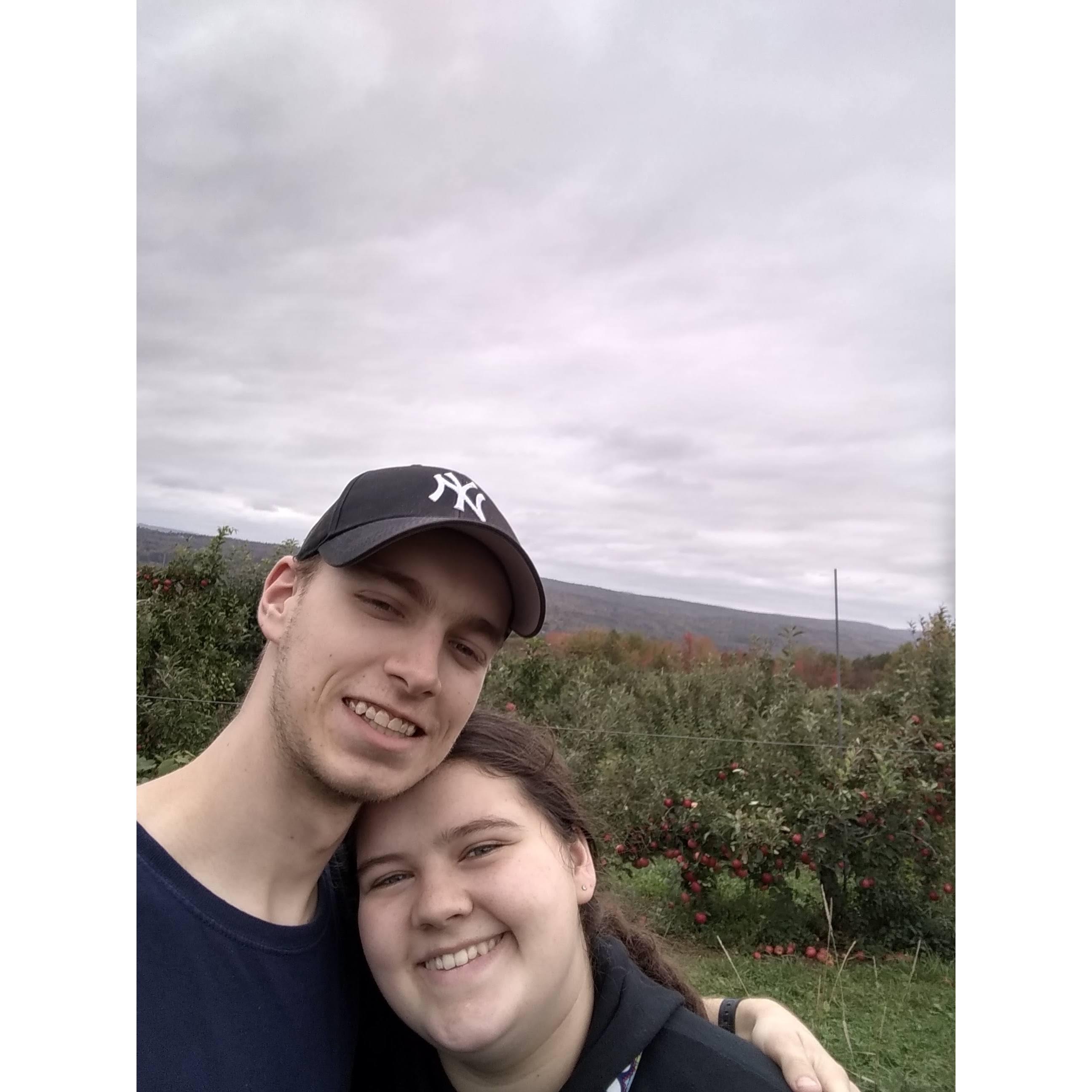 Apple picking!