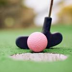 Dolphin Mini Golf