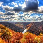 Coopers Rock State Forest