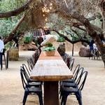 Bruma Wine Garden