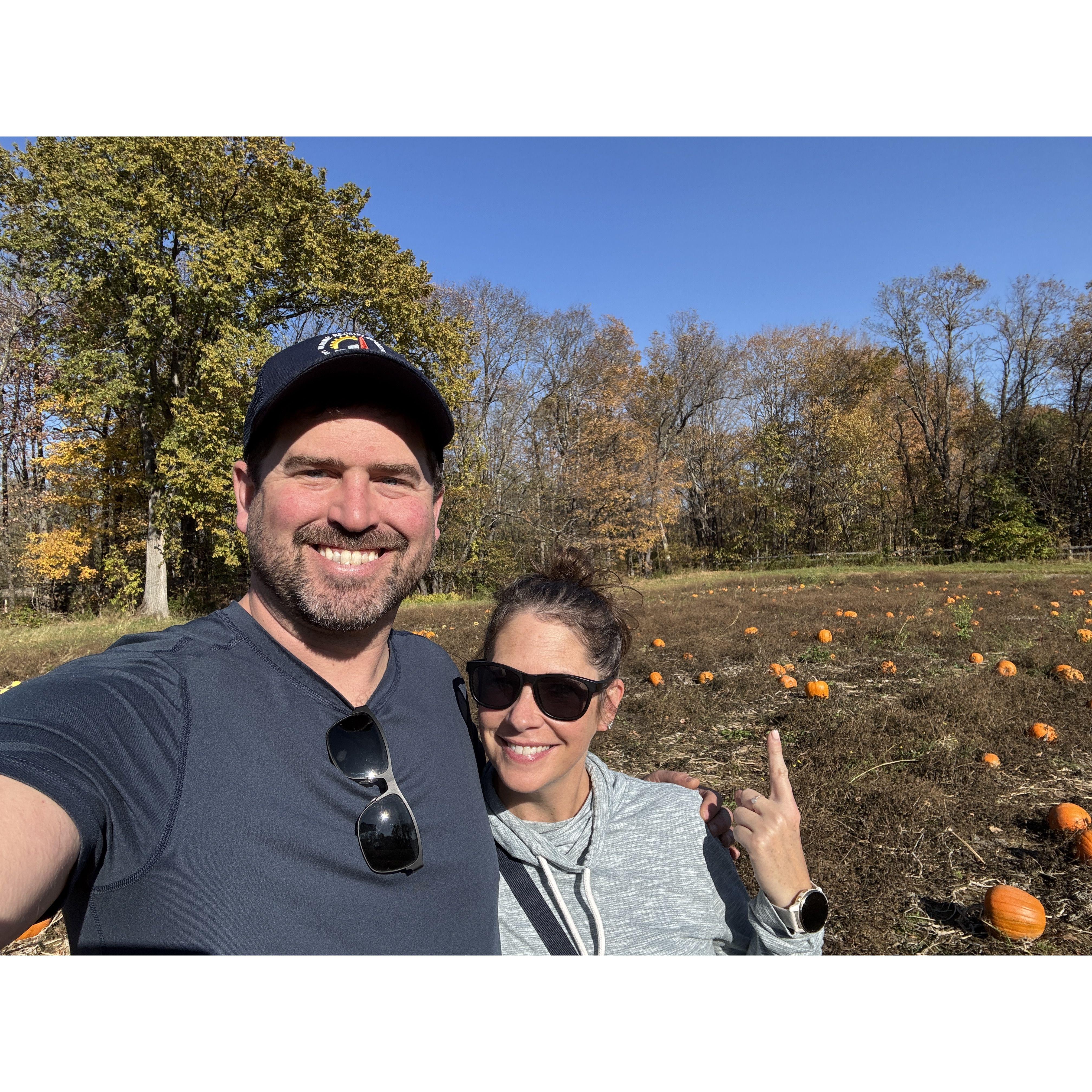 Pumpkin Patch in Bethel, ME