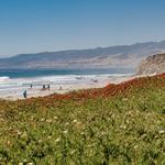 Jalama Beach County Park