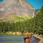 Fishercap Lake