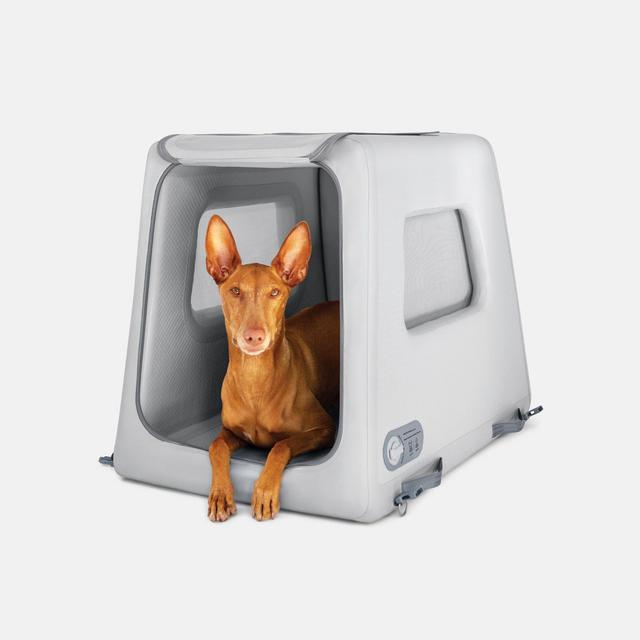 Diggs Travel Kennel