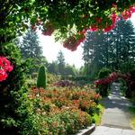 International Rose Test Garden