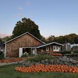 Our Favorite Farm Stands in Wolfeboro